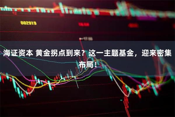 海证资本 黄金拐点到来？这一主题基金，迎来密集布局！