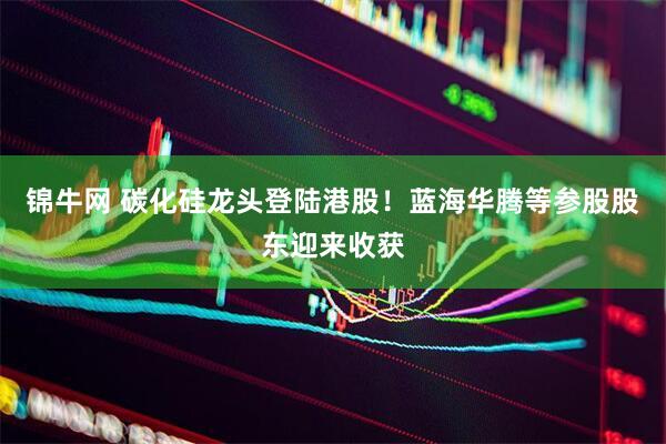 锦牛网 碳化硅龙头登陆港股！蓝海华腾等参股股东迎来收获